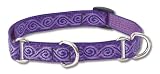 Lupine 3/4" Jelly Roll 14-20 Combo Dog Collar