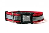 Illumidog Reflective Dog Collar: Red / Large (18-26 inches)