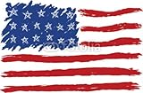 Wallmonkeys Peel and Stick Wall Decals - Hand Drawn American Flag - 72