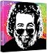 Gerry Garcia Grateful Dead - Pop Art Print (3-Colour Black, Grey & White; Paint Splat Background) 30