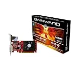 Gainward  NVIDIA GeForce GF210 Grafikkarte (PCI-e, 1GB GDDR2 Speicher, HDMI, DVI, 1 GPU)