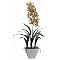Japanese Cymbidium Orchid Faux Plant in Pot - Green/ Burgundy (24")