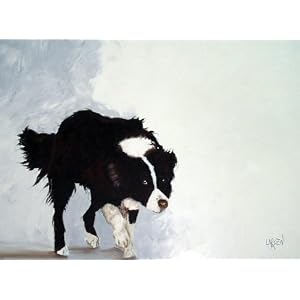 Border Collie Christmas Greeting Card