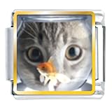 Animal Photo Fishbowl And Cat Italian Charms Bracelet Link