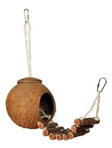 Prevue Hendryx 62801 Naturals Coco Hideaway with Ladder Bird Toy