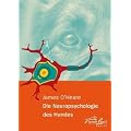 Die Neuropsychologie des Hundes