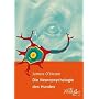 Die Neuropsychologie des Hundes