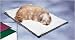 Allied Precision Medium Heated Pet Bed
