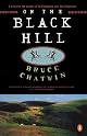 On the Black Hill