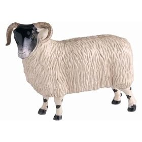 Black Faced Scottish Ewe - Porcelain Collectable from John Beswick (JBF79S)
