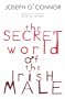 Secret World of the Irish Male