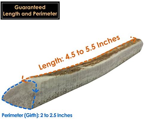 4-Pack Elk Antler Dog Chew (Calcium Stick (Split), Small (12 - 20 lb dogs))