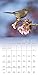 Songbirds 2017 Calendar: Includes Downloadable Wallpaper