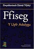 Ffiseg : y llyfr adolygu