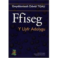 Gwyddoniaeth Ddwbl Tgau: Ffiseg - y Llyfr Adolygau