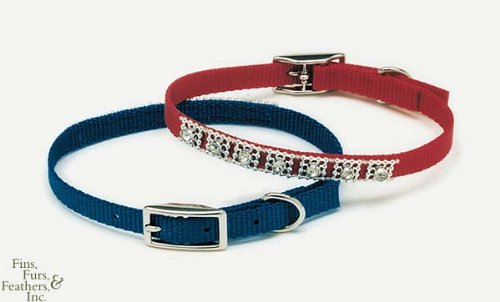 Coastal Pet Jeweled Nylon Dog Collar (Red, 12 Inch L x 3/8 Inch W)