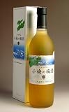本坊酒造 小梅の梅酒14度720ml 【焼酎のひご屋】