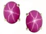 2.75 cttw Genuine Lab Created Star Ruby Earring Studs in 14k Yellow Gold