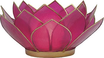 Fuchsia Pink 3-Layer Capiz (gold edged)