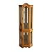 Southern Enterprises Lighted Corner Display Cabinet, Golden Oak