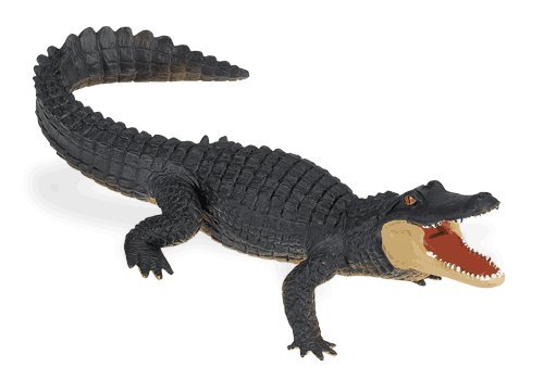 Cheap Wild Safari Wildlife: Alligator