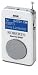 Roberts Radios SPORTSDAB2W