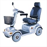 Heavy Duty Four Wheel Scooter Color: Blue