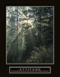 Attitude - Forest Light, Motivational Poster