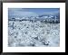A dramatic winter scene of a snow-covered graveyard Photographers Framed Art Poster Print by David Boyer, 31x25