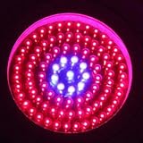 90W Lighthouse Hydro LED UFO Grow Light High Output Dual Band Veg 90 Watts by LEDwholesalers,2506MX