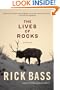 The Lives of Rocks