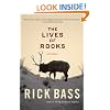 The Lives of Rocks