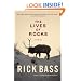 The Lives of Rocks