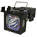 Replacement Lamp for TDP-TW350U Projector (TLPLW13)