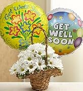 Floral Flowers - Basket Full of Daisies with Get Well Balloons - Small