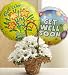 Flowers - Basket Full of Daisies with Get Well Balloons - Small