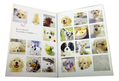 犬と私の10の約束[プレミアム・エディション](2枚組) [DVD]