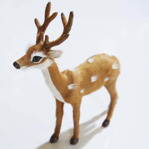 【&K AMSTERDAM】Little Bambi リトルバンビ　オス 