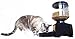 MOTA Perfect Dinner Pet Feeder, Automatic Dog and Cat Dispenser with portion control and bowl (DISCONTINUED)