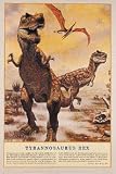 Animals Posters: Dinosaurs - Tyrannosaurus Rex Poster - 33.5 x23.8