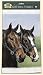 Fiddler's Elbow Caroline's Horses Kitchen Towel