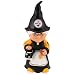 PITTSBURGH STEELERS 11.5
