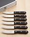 Kitchen & Housewares : Sterling Home 8418 Classique Collection 6 Piece Jumbo Steak Knife Set