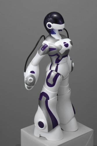 エマ(Eternal Maiden Actualization)