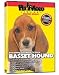 Basset Hound DVD - Everything You Should Know About Your Dog