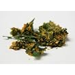 ChocolaTree Kale Chips - Raw (3 Oz.) - Vegan Chipotle (Hot!)