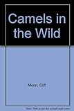 Camels in the wild