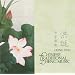 Chinese Traditional Zheng Music