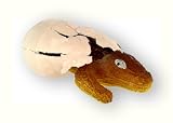 Hatchems Alligator Egg