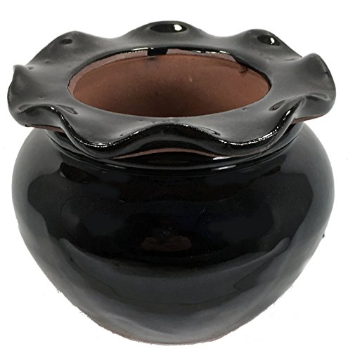 Scallop Round Self Watering Glazed Ceramic Pot - Black - 5.1